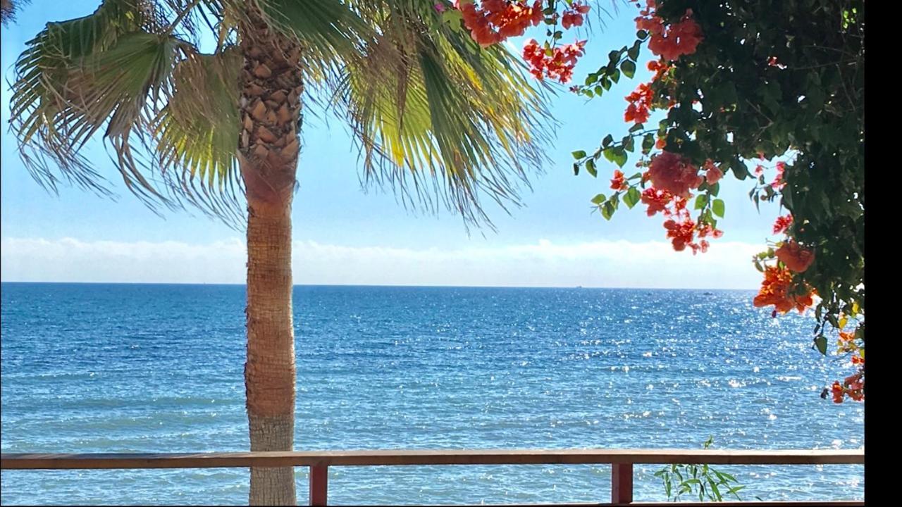 Mi Capricho Beachfront- 3-7 Apartment With Sea Views Sitio de Calahonda 외부 사진